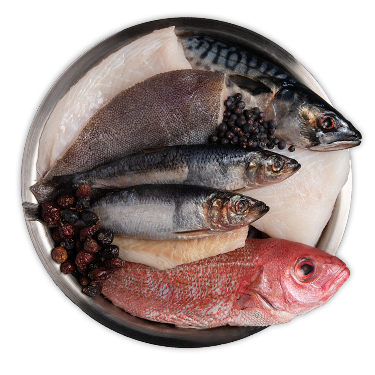 Wholeprey Diet
